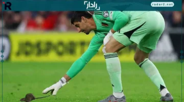 توقف الزمن.. فأر يغير مجرى مباراة ويلز وبلجيكا بأحداث غير متوقعة